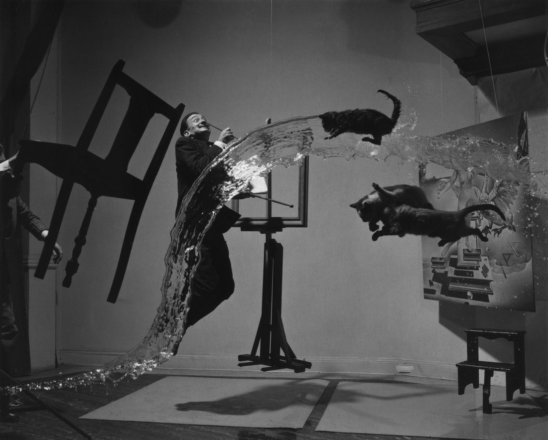 Photographer Philippe Halsman's 1948 image DalĂ Atomicus, showing Salvador DalĂ suspended in mid-air with three flying cats
